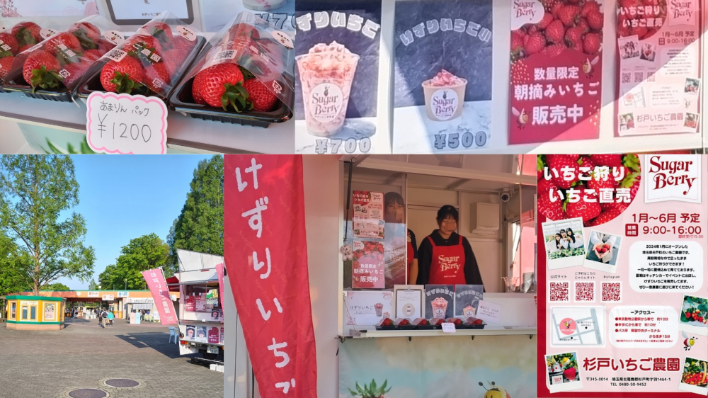 【取材レポート】杉戸いちご農園🍓のいちごキッチンカーが東武動物公園に初出店！～ゴールデンウィーク限定の特別販売～