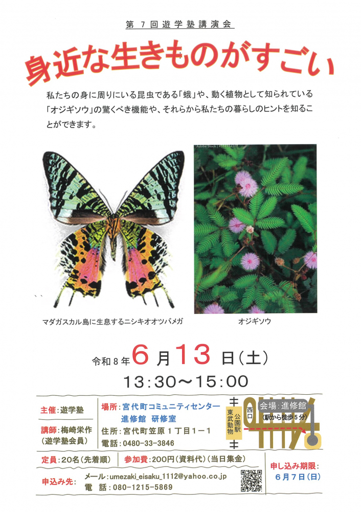 【 6月13日(土)開催　第7回　遊学塾講演会】身近な生きものがすごい🦋